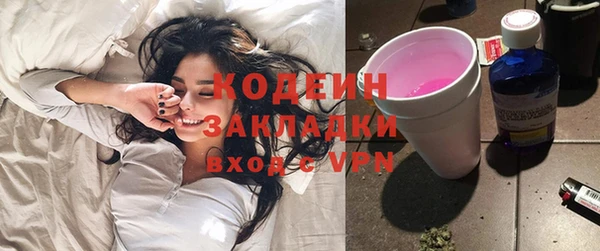 шишки Баксан