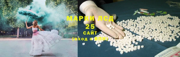 шишки Баксан