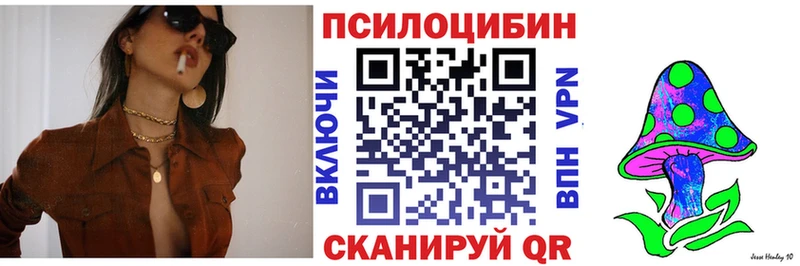 Псилоцибиновые грибы Cubensis  Колпашево 